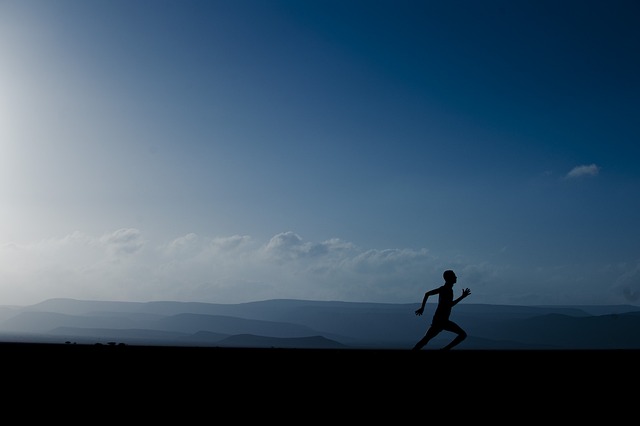 landscape-78058_640